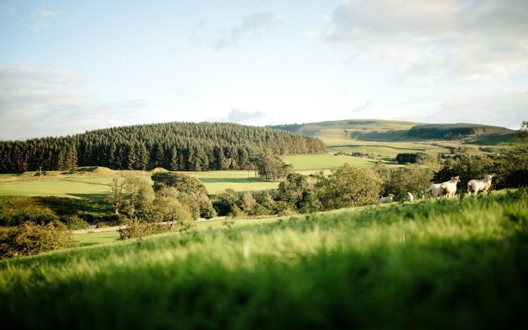 Stay Green in Britain: Eco-Friendly Hotels, Routes and Experiences